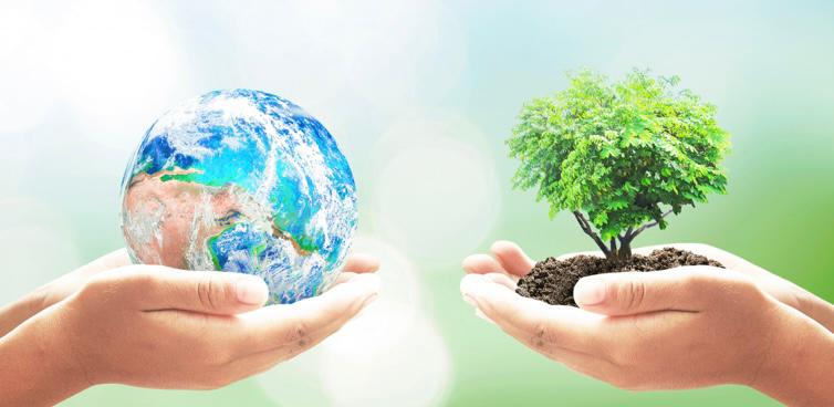 En la imagen se observa del lado izquierdo dos manos unidas cargando un planeta y del lado derecho dos manos unidas cargando un árbol con arena abajo