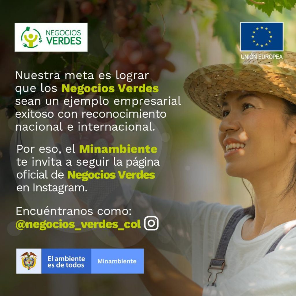 Banner de promoción