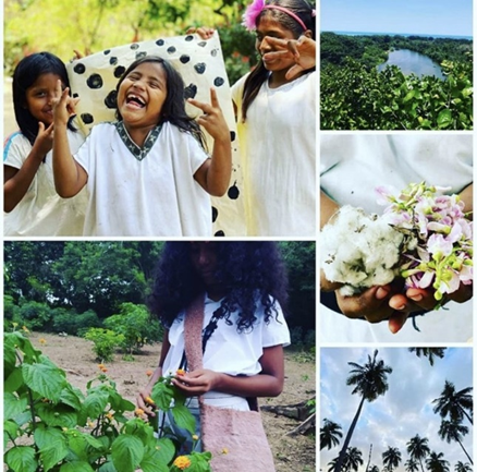 Collage con imagen de indígenas, arboles con un lago, palmeras y el cielo, flores en unas manos.