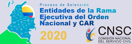 Proceso de selección Entidades de la Rama Ejecutiva del Orden Nacional y CAR 2020