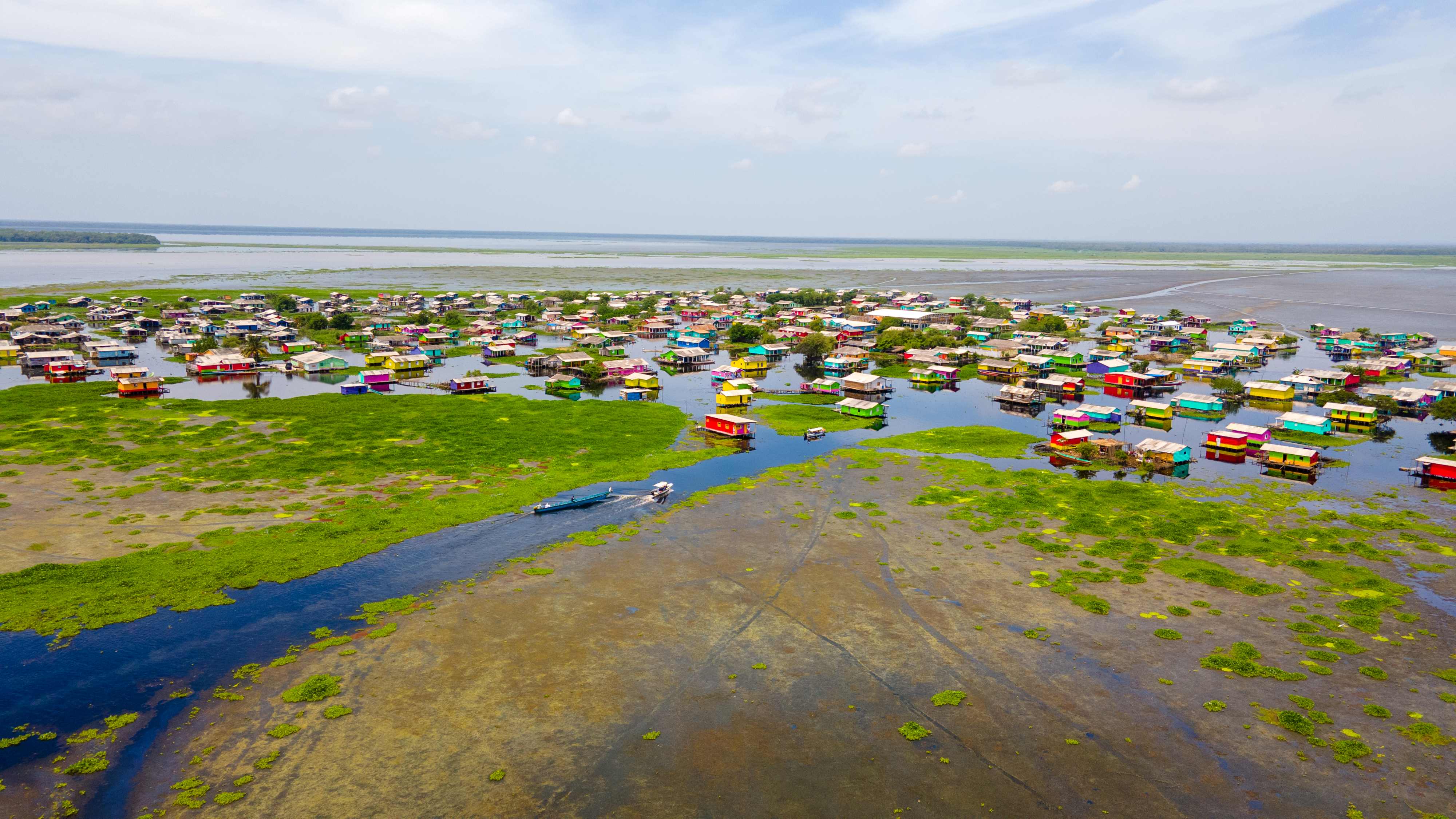 Panoramica de la Cienaga con hydrilla