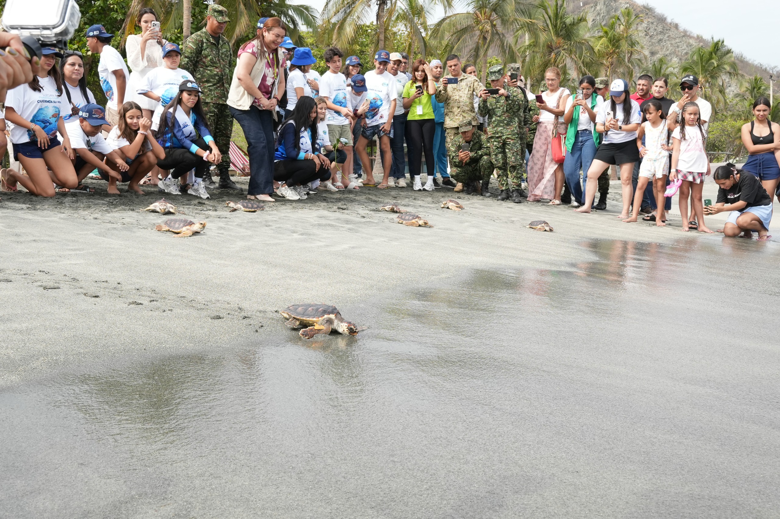 Liberacion de tortugas marinas con reinas populares
