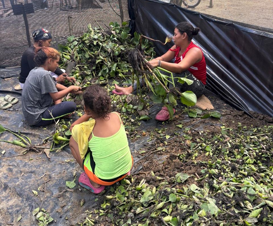 Personal de la comunidad en el vivero tocando las plantas