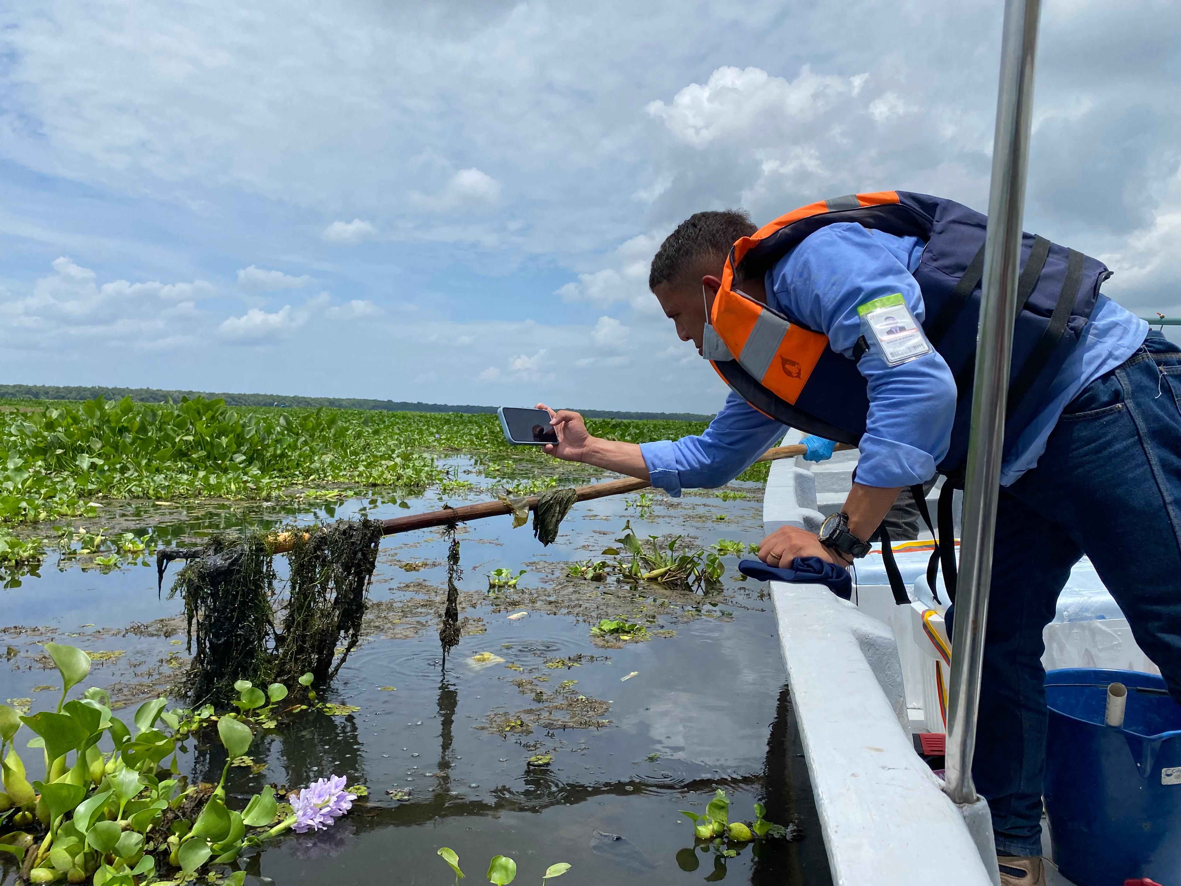 Personal del laboratorio en una lancha sacando con un palo la planta en la cienaga para toma de muestra
