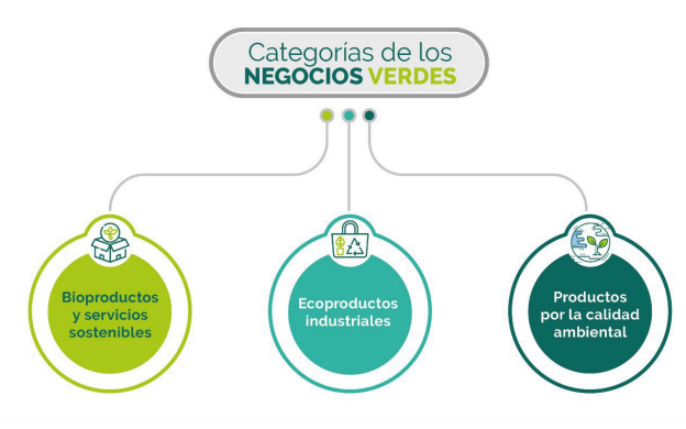Categorías de los Negocios Verdes: 1. Bioproductos y servicios sostenibles, 2. Ecoproductos industriales, 3. Productos por calidad ambiental