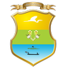 PIJINO