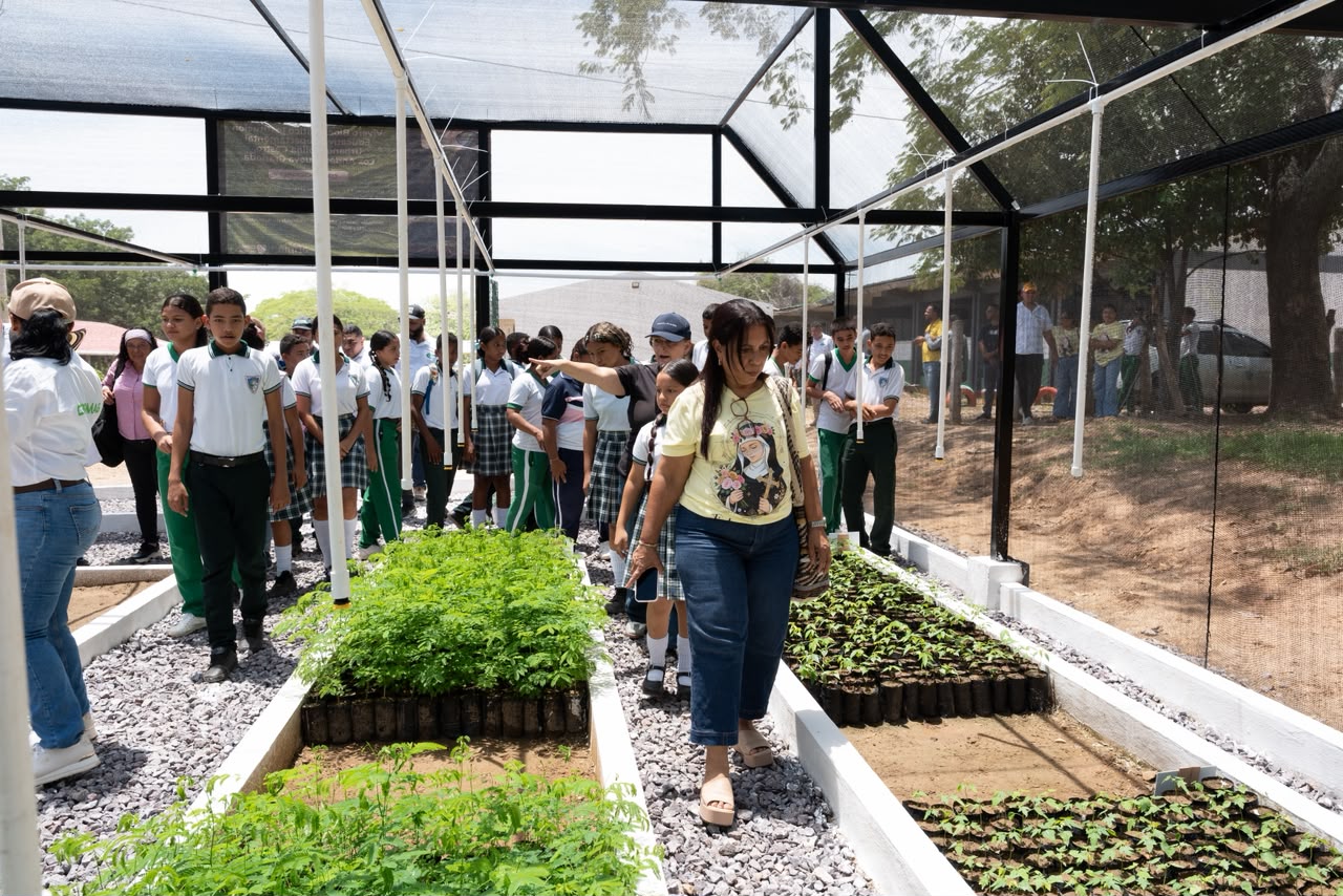 Niños rrecorriendo el vivero 