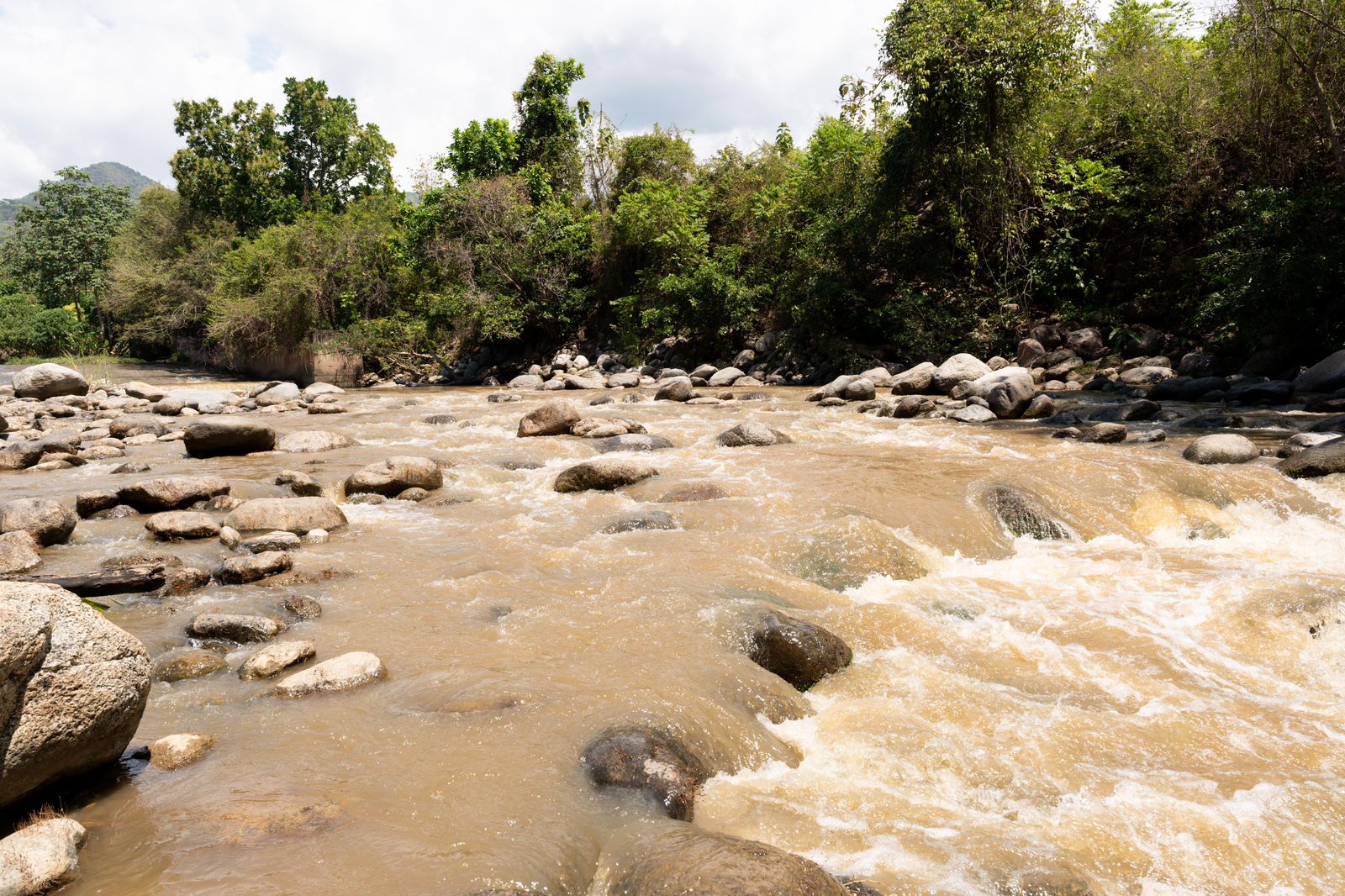 Panoramica rio Frio